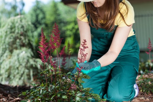 Technician performing routine garden maintenance in a Hackney back garden