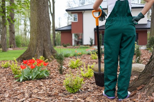 Safety tips for online payments for garden maintenance